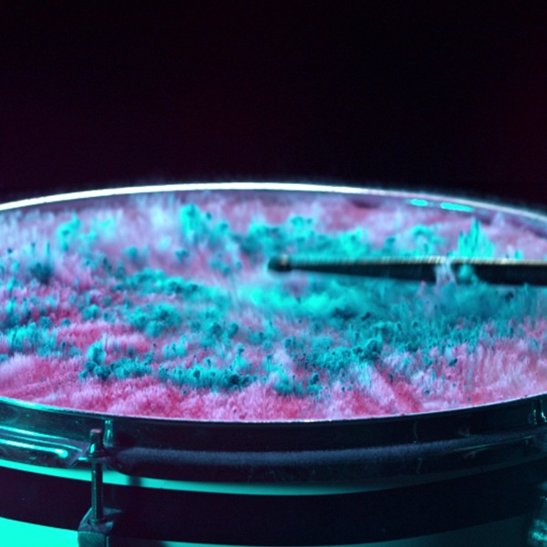 You create the night