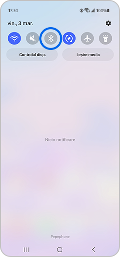 Atingeti si mentineti apasata pictograma Bluetooth pentru a deschide pagina Bluetooth