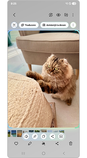 Selectați zona pentru a crea GIF