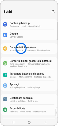 Funcția Caracteristici avansate selectată în meniul Setări