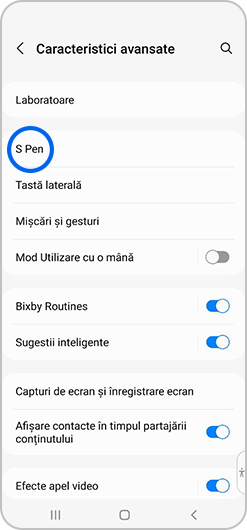 S Pen selectat în meniul Caracteristici avansate