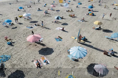 pokretna slika psa pomoću uveličavanja objekta