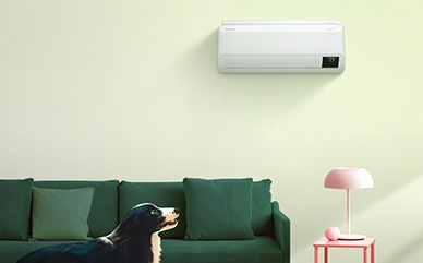 На стене установлен кондиционер WindFree. Под ним - зеленый диван и приставной столик, перед которым сидит собака.