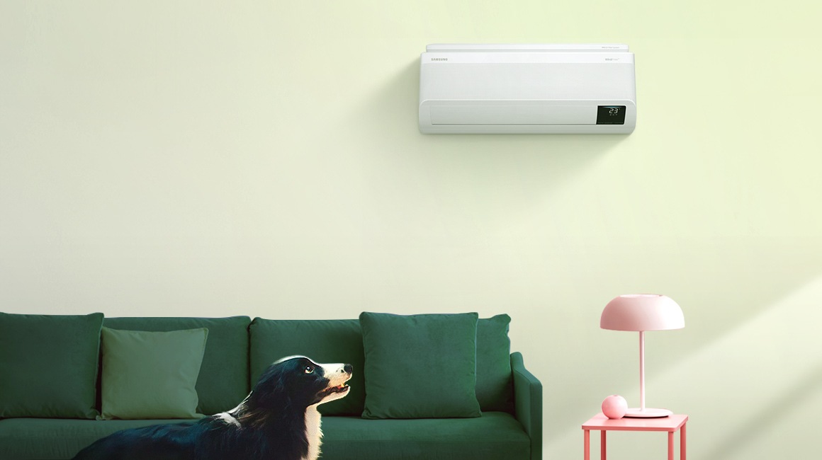 На стене установлен кондиционер WindFree. Под ним - зеленый диван и приставной столик, перед которым сидит собака.