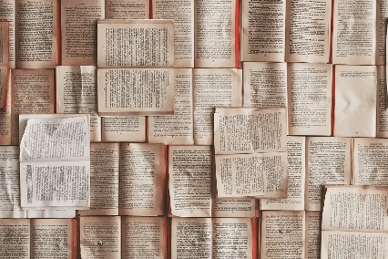 Что нужно обязательно прочитать начинающему писателю.