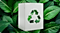 Eco Box