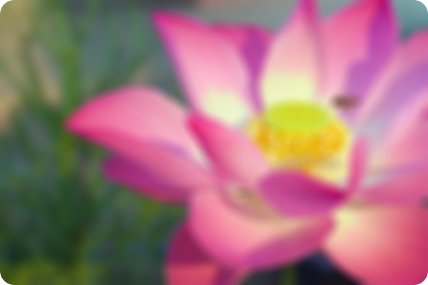 Контур Relumino выключен у размытого изображения