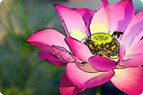 Контур Relumino включен