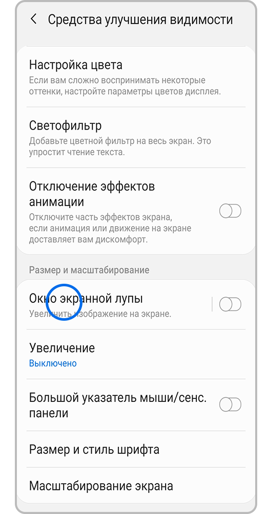 Окно экранной лупы