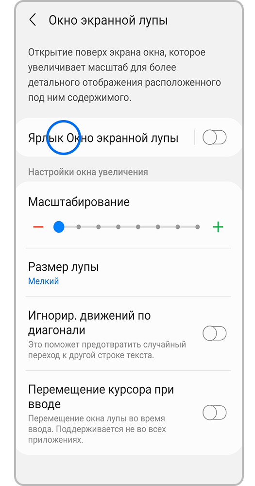 Окно экранной лупы