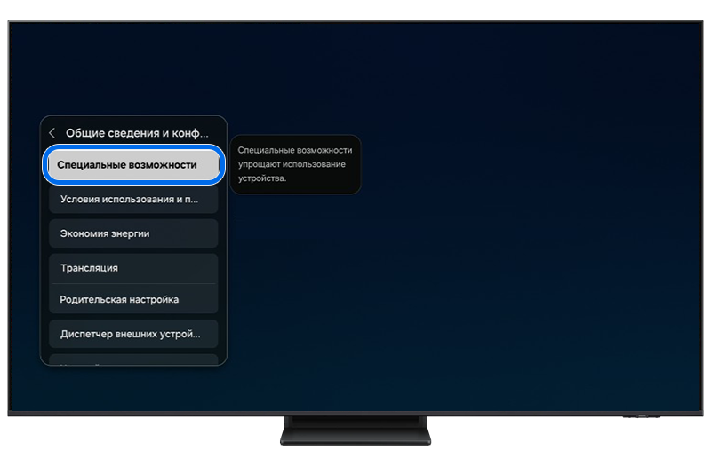 Пункт "Специальные возможности"