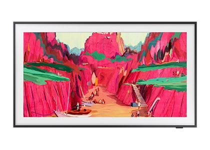 The Frame Pro LS03FW