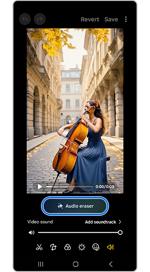 Audio Eraser button highlighted