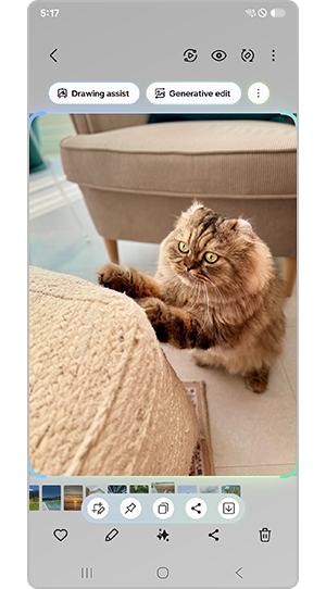 Select area to create GIF