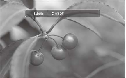 How to select the subtitle language