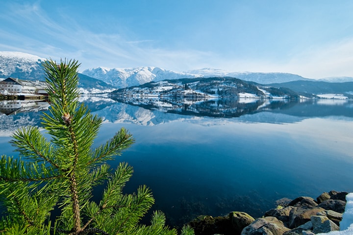 Snötäckta berg som speglas i sjön.  I förgrunden syns en kvist.