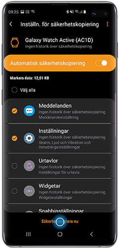 Tryck på Säkerhetskopiera nu