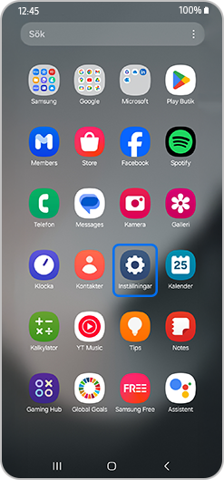 Inställningsappen på smarttelefonens hemskärm markerad