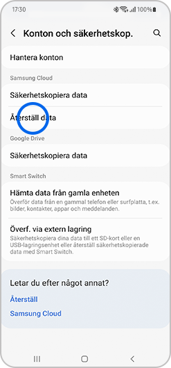 Tryck på Återställ data.
