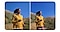 Image stabilisation