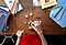 A top-down shot of a woman laying out small plastic body parts on a desk surrounded by books.
