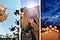This is a collage of three photos; first one shows a carnival ride shot from the ground up, while people on swings spin around a carousel. Second one shows two women hugging each other in a city park surrounded by flowers. And the last photo shows three friends sitting on a beach at night under a structure made of driftwood with twinkle light strands and torches surrounding it.