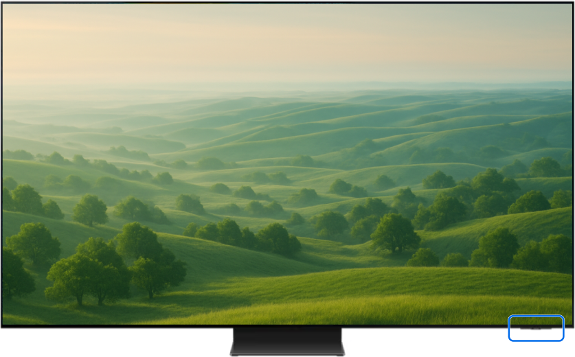 Panel location on a Samsung Smart TV highlighted.