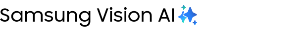 Vision AI