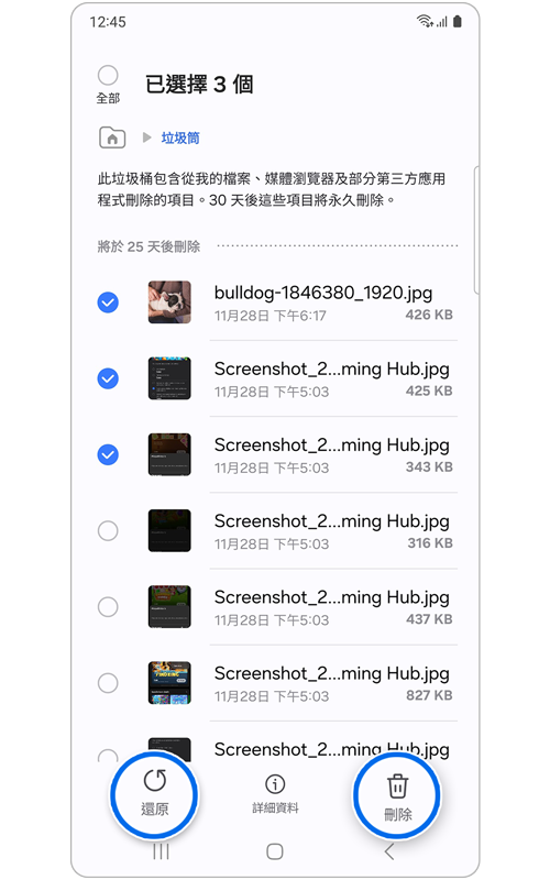 已選擇還原選項的垃圾筒主螢幕