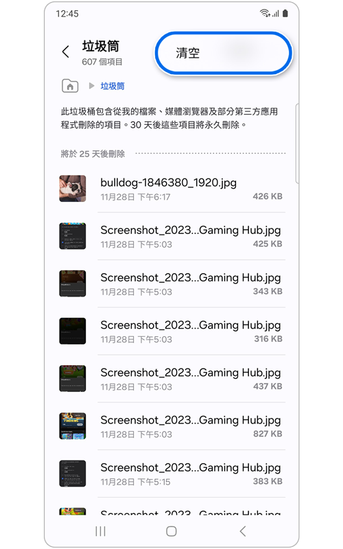 已選擇「清空」選項的「垃圾筒」主螢幕
