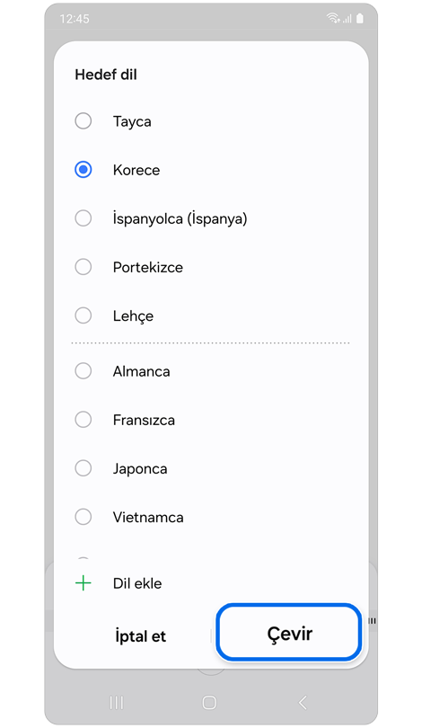 “Dil seçin” ayarı.