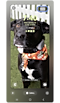 Image of black dog set as wallpaper