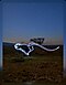 A light painting of a cheetah running across the plains in the dark.