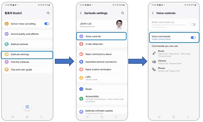 Voice controls