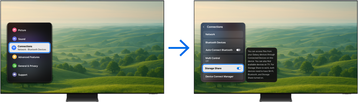 TV displaying the Connections menu with Storage Share turned on.