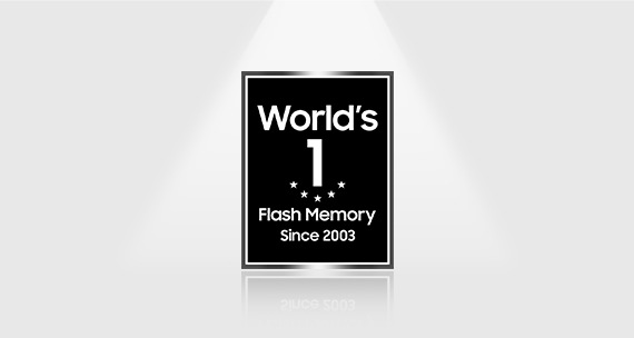 ตราโลโก้ที่มีคำว่า "World's No. 1 Flash Memory Since 2003" เขียนด้วยสีขาวบนพื้นหลังสี่เหลี่ยมสีดํา