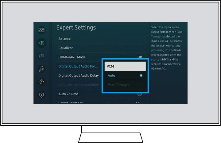 Digital Output Audio Format