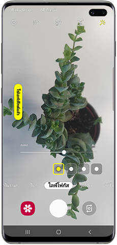เอฟเฟ๊กต์เบลอภาพ Live focus ในกล้อง Galaxy S10