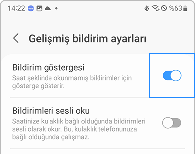 Galaxy Wearable uygulamasındaki Gelişmiş bildirim ayarlarının listesi