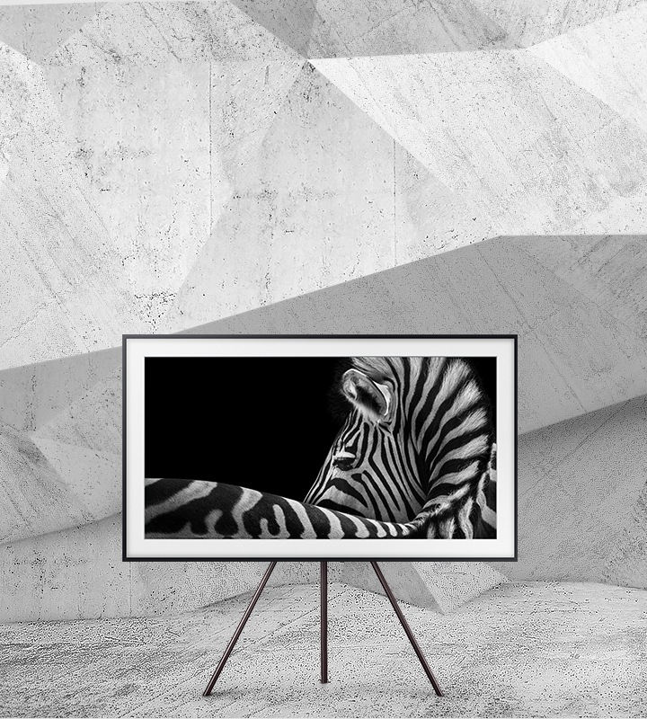 The Frame 美學電視擺放在牆前的藝術展架上