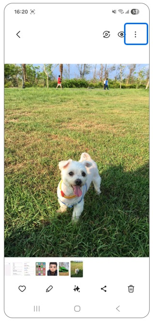 2. 選擇照片後,點選右上角更多「︙」。示意圖
