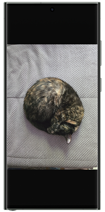 <b>Крок 1</b>. Відкрийте будь-яке фото або картинку