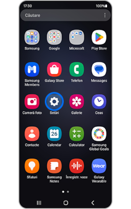 Aspectul pictogramei de setări evidențiate.