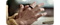 A Titanium Black Galaxy Ring is being placed on the index finger of a right hand.