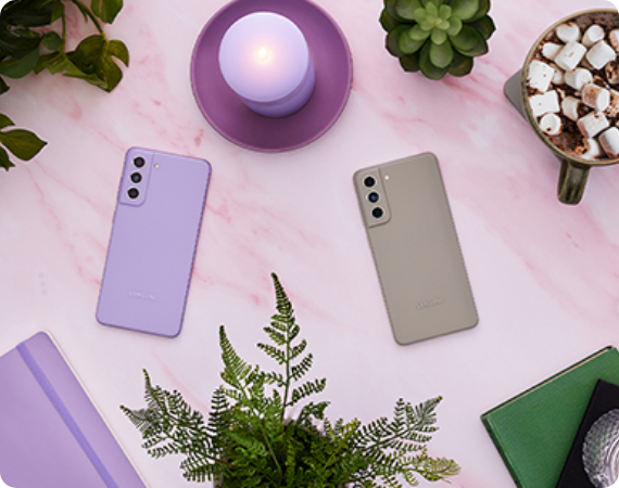 Samsung S21 FE vs S21