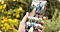How much phone storage do photos use?