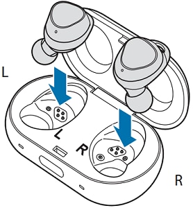 Place the earbuds into the charging case