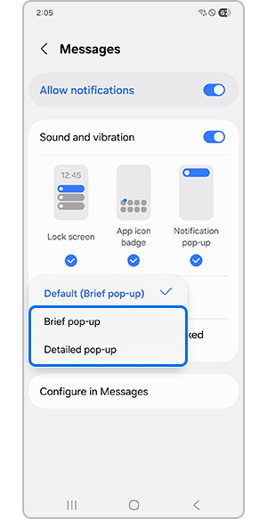 Tapping either Brief pop-up or Detailed pop-up
