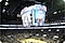 Golden State Warriors