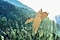 A hand-crafted bird made out of cardboard from Samsung's eco-packaging is flying over the vast forest with sunshine from high above the sky